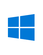 Windows 11