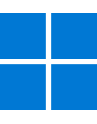 Windows 11 Pro